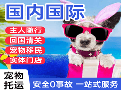 伊春机场物流国际宠物托运 【国